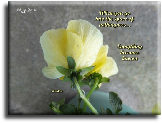 Buddha quote - When you go into the space of nothingness, everything becomes known. - Spiritual Quotes To Live By
