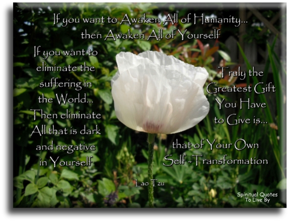 Lao Tzu quote - If you want to Awaken all of humanity, then Awaken all of yourself.  If you want to eliminate the suffering in the world, then eliminate all that is dark and negative in yourself.  Truly, the greatest gift you have to give is that of your own self-transformation - Spiritual Quotes To Live By