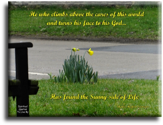 Charles Haddon Spurgeon quote - He who climbs above the cares of this world, and turns his face to God, has found the sunny side of life. - Spiritual Quotes To Live By