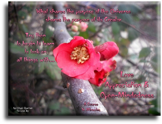 A Course In Miracles quote - What shares the purpose of the Universe shares the purpose of its Creator. Try then to begin to learn to look on all things with love, appreciation and open-mindness. - Spiritual Quotes To Live By