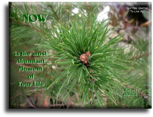 Robert Holden quote - Now is the most abundant moment of your life. - Spiritual Quotes To Live By