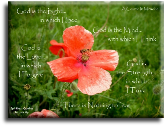 A Course In Miracles quote - God is the Light in which I see. God is the mind with which I think. God is the Love in which I forgive. God is the strength in which I trust. There is nothing to fear. - Spiritual Quotes To Live By
