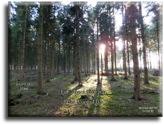 Rumi quote - Let silence take you to the core of life. - Spiritual Quotes To Live By