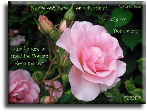 Walter C Hagen quote -  You're only here for a short visit, don't hurry, don't worry, and be sure to semll the flowers along the way - Spiritual Quotes To Live By