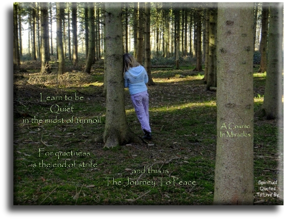 A Course In Miracles quote - Learn to be quiet in the midst of turmoil, for quietness is the end of strife, and this is the journey to peace. - Spiritual Quotes To Live By