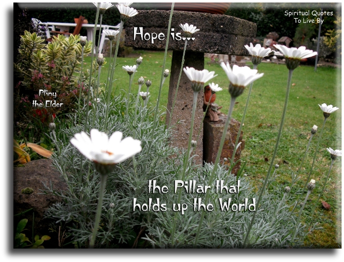 Pliny The Elder quote - Hope is the pillar that holds up the world. - Spiritual Quotes To Live By
