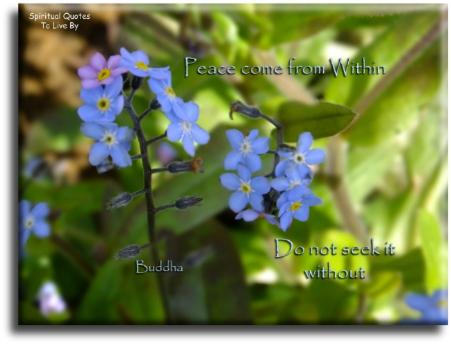 Buddha quote - Peace comes from within. Do not seek it without. - Spiritual Quotes To Live By