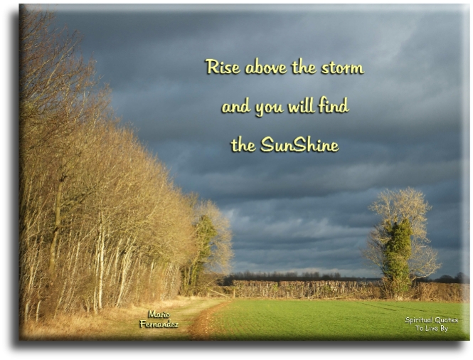 Mario Fernandez quote - Rise above the storm and you will find the sunshine. - Spiritual Quotes To Live By