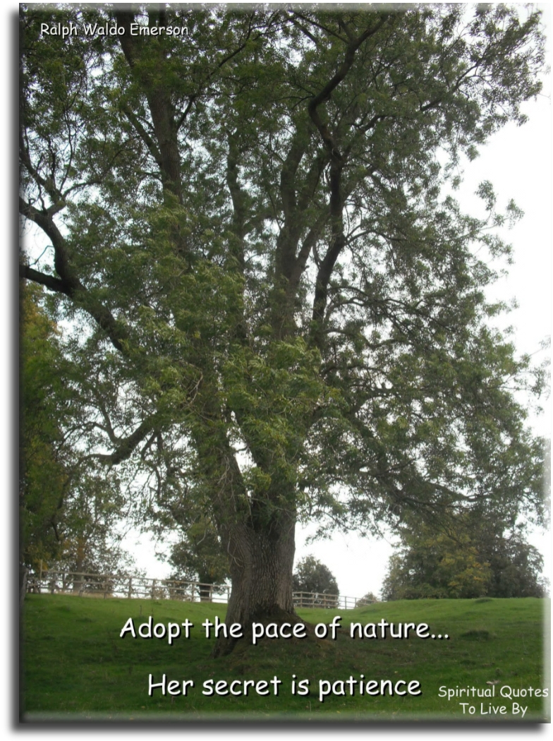 Ralph Waldo Emerson quote - Adopt the pace of nature, her secret is patience. - Spiritual Quotes To Live By
