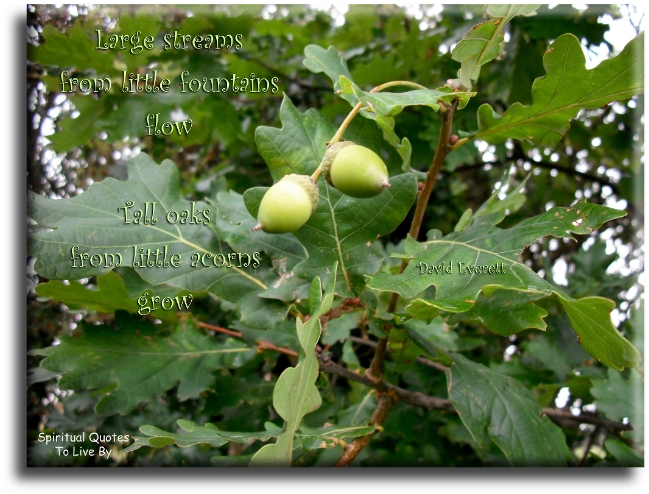 David Everett quote - Large streams from little fountains flow, tall oaks from little acorns grow. - Spiritual Quotes To Live By