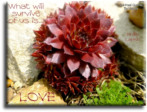 Philip Larkin quote - What will survive of us is.. Love. - Spiritual Quotes To Live By