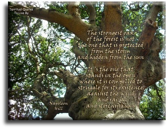 Napoleon Hill quote - The strongest oak of the forest is not the one that is protected from the storm and hidden from the sun. it’s the one that stands in the open where it is compelled to struggle for its existence against the wind and rains and scorching sun. - Spiritual Quotes To Live By