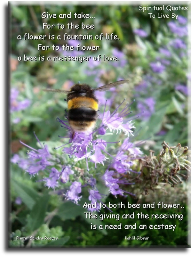 Kahlil Gibran quote - Give and take.. For to the bee a flower is a fountain of life. For to the flower a bee is a messenger of love. And to both, bee and flower, the giving and the receiving is a need and an ecstasy. - Spiritual Quotes To Live By