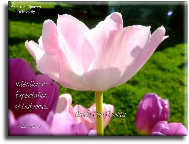 Adam McLeod quote - Intention and expectation of outcome guide our reality. - Spiritual Quotes To Live By