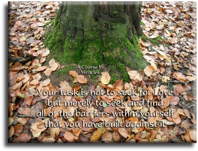 A Course In Miracles quote - Your task is not to seek for love, but merely to seek and find all the barriers within yourself that you have built against it.  - Spiritual Quotes To Live By