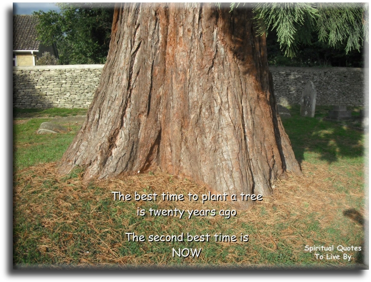 The best time to plant a tree is twenty years ago.. The second best is NOW. - Spiritual Quotes To Live By