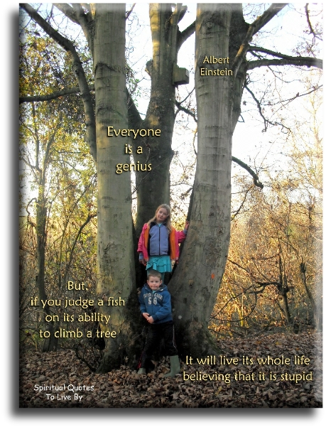 Albert Einstein quote - Everyone is a genius, but, if you judge a fish on its ability to climb a tree, it will live its whole life believing that it is stupid. - Spiritual Quotes To Live By