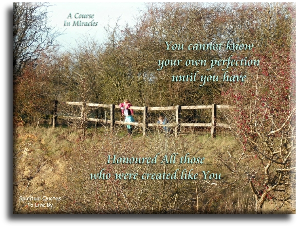 A Course In Miracles quote - You cannot know your own perfection until you have honoured all those who were created like you. - Spiritual Quotes To Live By