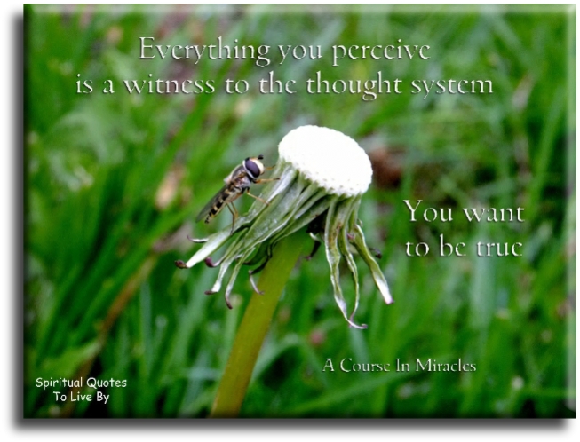 A Course In Miracles quote - Everything you perceive is a witness to the thought systems you want to be true. - Spiritual Quotes To Live By