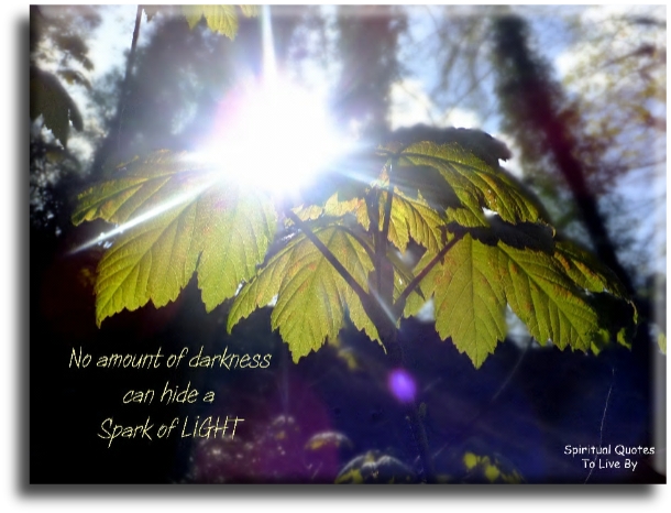 No amount of darkness can hide a spark of Light. - Spiritual Quotes To Live By