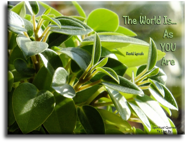 David Lynch quote - The world is… as you are. - Spiritual Quotes To Live By