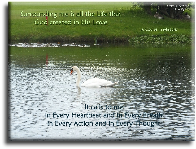 A Course In Miracles quote - Surrounding me is all the life that God created in His Love. It calls to me in every heartbeat and in every breath, in every action and in every thought. - Spiritual Quotes To Live By