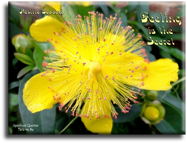 Neville Goddard quote - Feeling is the secret. - Spiritual Quotes To Live By