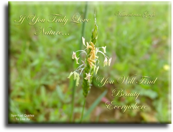 Vincent van Gogh quote - If you truly love nature, you will find beauty everywhere. - Spiritual Quotes To Live By