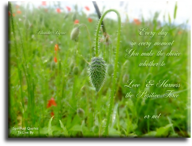Rhonda Byrne quote - Every day in every moment, you make the choice.. Whether to love and harness the positive force, or not. - Spiritual Quotes To Live By