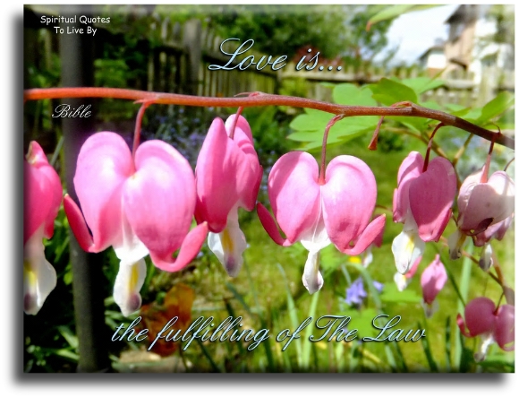 Bible quote - Love is the fulfilling of the law - Spiritual Quotes To Live By
