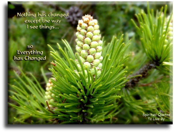 Nothing has changed, except the way I see things… So everything’s changed. - Spiritual Quotes To Live By