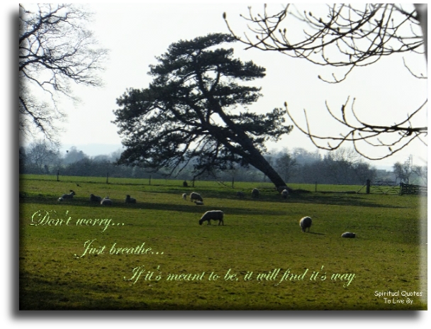 Don't worry, just breathe, if it's meant to be it will find a way - Spiritual Quotes To Live By