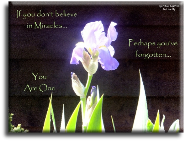 If you don’t believe in miracles, perhaps you’ve forgotten… You are one. - Spiritual Quotes To Live By