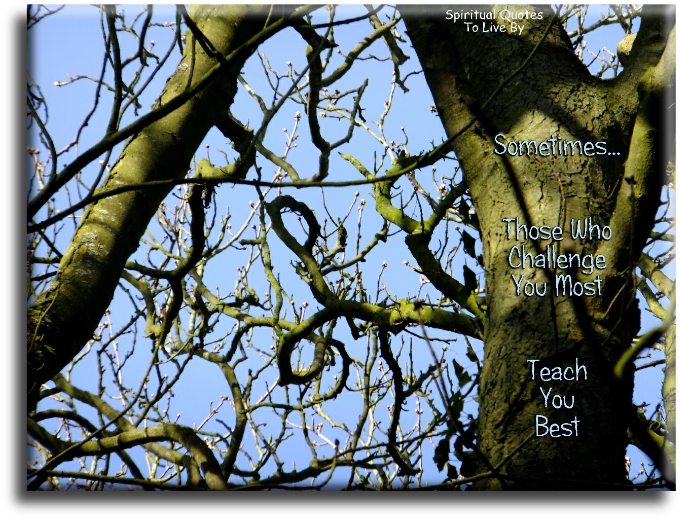 Sometimes those who challenge you most, teach you best. - Spiritual Quotes To Live By