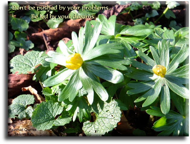 Don’t be pushed by your problems… Be led by your dreams. - Spiritual Quotes To Live By