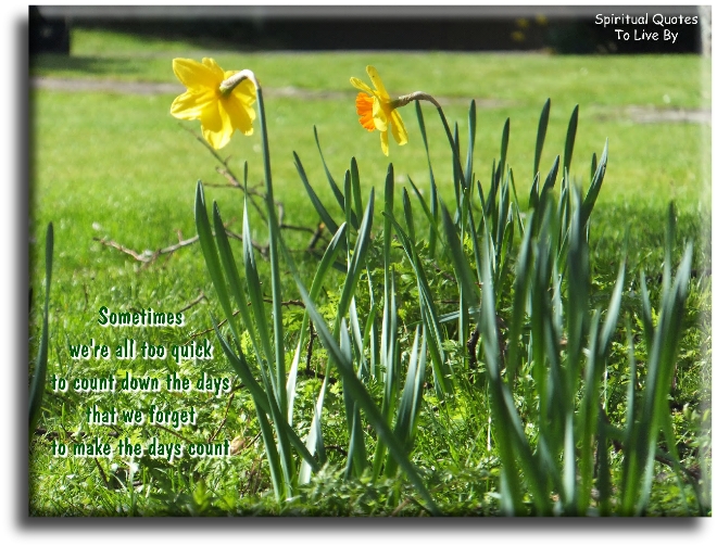 Sometimes we’re all too quick to count down the days.. That we forget to make the days count. - Spiritual Quotes To Live By