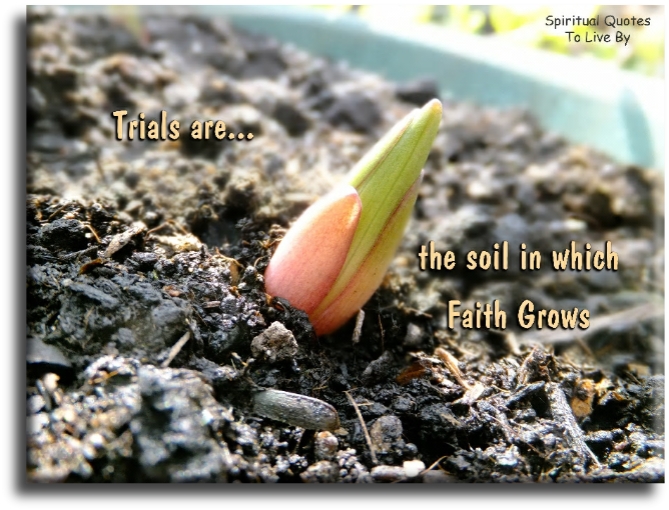 Trials are the soil in which faith grows. - Spiritual Quotes To Live By