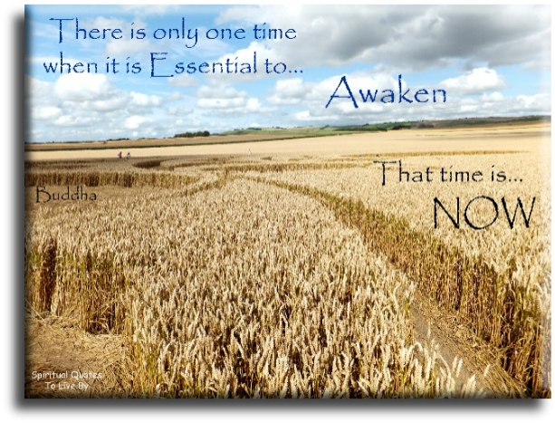 Buddha quote - There is only one time when it is essential to Awaken, that time is now - Spiritual Quotes To Live By