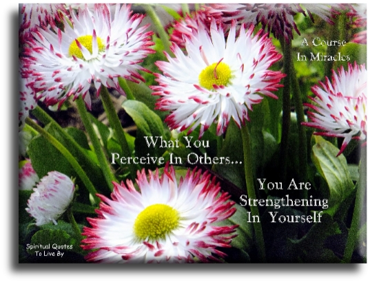A Course In Miracles quote - What you perceive in others you are strengthening in yourself. - Spiritual Quotes To Live By