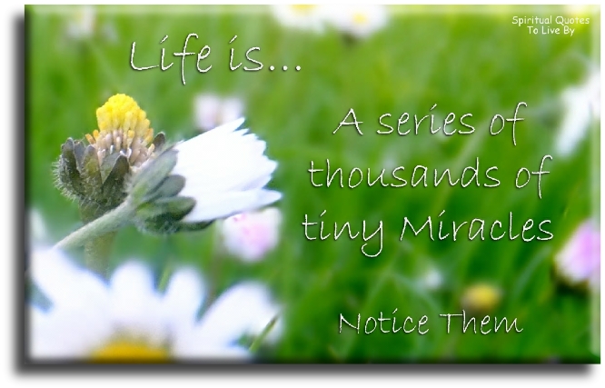 Life is a series of thousands of tiny miracles.. Notice them. - Spiritual Quotes To Live By