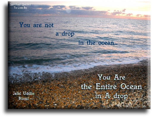 Rumi quote - You are not a drop in the ocean.. You are the entire ocean in a drop. - Spiritual Quotes To Live By