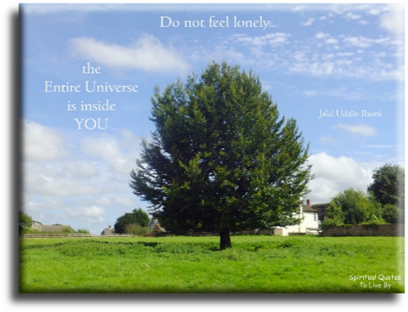 Rumi quote - Do not feel lonely.. The entire Universe is inside you. - Spiritual Quotes To Live By