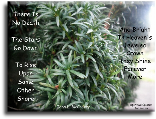 John L. McCreery quote - There is no death, the stars go down   To rise upon some other shore   And bright in heaven’s jewelled crown   They shine forever more. - Spiritual Quotes To Live By