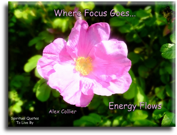 Alex Collier quote - Where focus goes.. Energy flows. - Spiritual Quotes To Live By