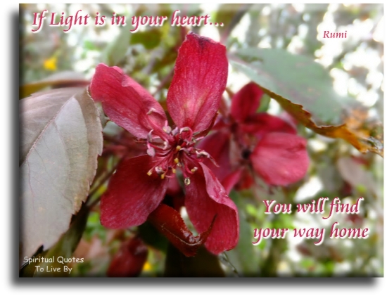 Rumi quote - If Light is in your heart, you will find your way home - Spiritual Quotes To Live By