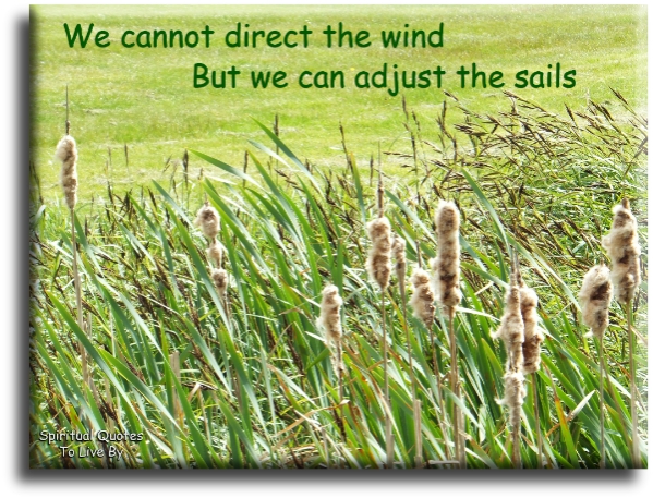 We cannot direct the wind, but we can adjust the sails - Spiritual Quotes To Live By