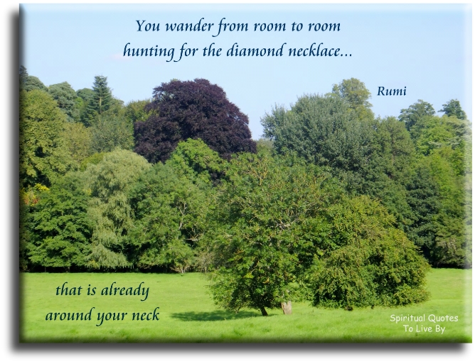 Rumi quote - You wander from room to room hunting for the diamond necklace that is already around your neck. - Spiritual Quotes To Live By