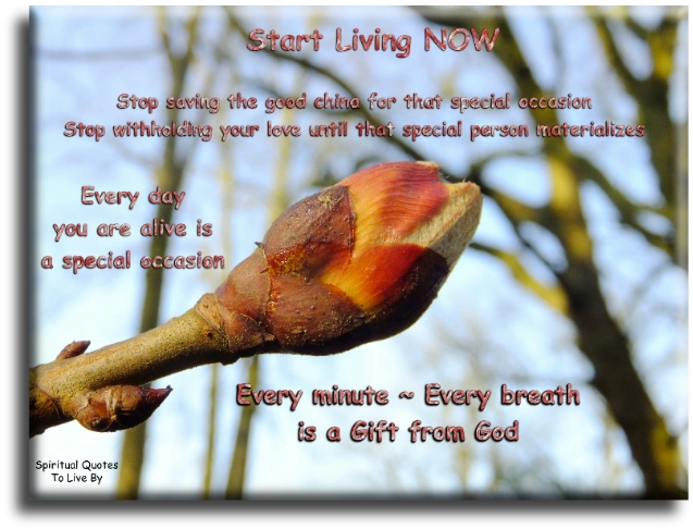 Mary Morrissey quote: Start living now. Stop saving the good china for that special occasion. Stop withholding your love until that special person materializes. Every day you are alive is a special occasion. Every minute, every breath, is a gift from God - Spiritual Quotes To Live By