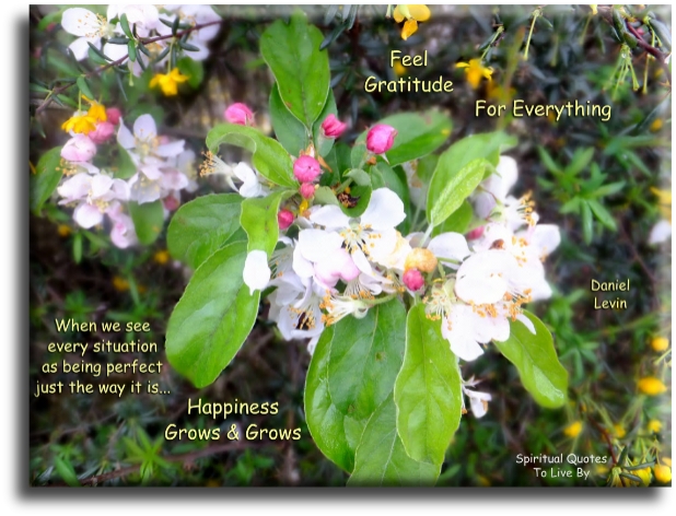 Daniel Levin quote - Feel gratitude for everything. When we see every situation as being perfect just the way it is, happiness grows and grows. - Spiritual Quotes To Live By