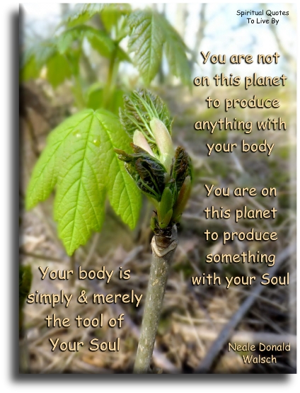 Neale Donald Walsch quote - You are not on this planet to produce anything with your body. You are on this planet to produce something with your Soul. Your body is simply and merely the tool of your Soul - Spiritual Quotes To Live By